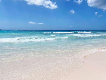 Perfect screensaver beautiful beach paradise barbados