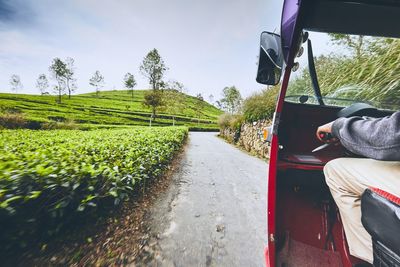 Rear view of man on road amidst field against sky