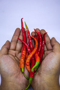 Close-up of hand holding red chili pepper against white background