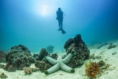 Full length view of scuba diver underwater