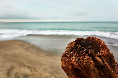 Close-up of rock on beach against sky