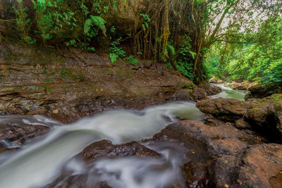 Stream flowing through rocks in forest