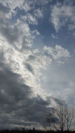 Low angle view of trees against sky