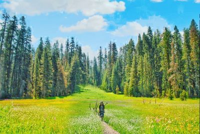 Woman walking on footpath amidst plants