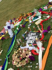 High angle view of text with flowers on field