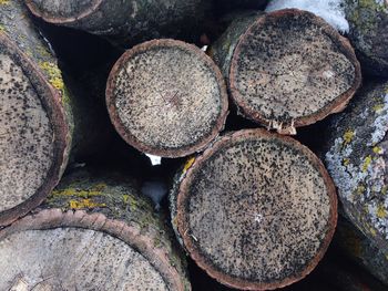 Stack of logs