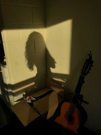 Shadow of guitar on wall at home