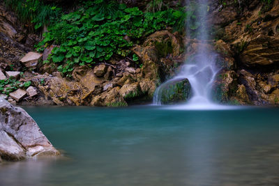 Scenic view of waterfall in forest