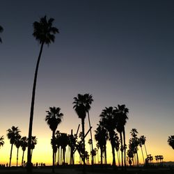 Silhouette palm trees on beach against clear sky