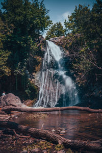 Waterfall in forest