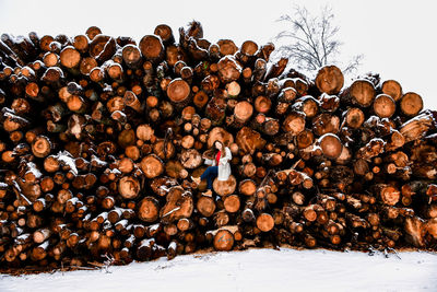 Full frame shot of tree logs in snow