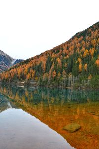 Scenic view of lake by trees against clear sky