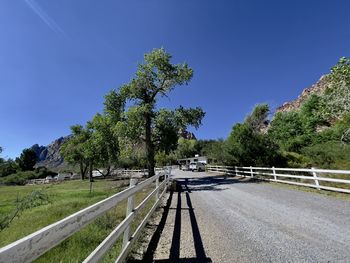 Road by trees against clear blue sky