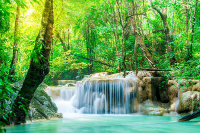 Scenic view of waterfall in forest