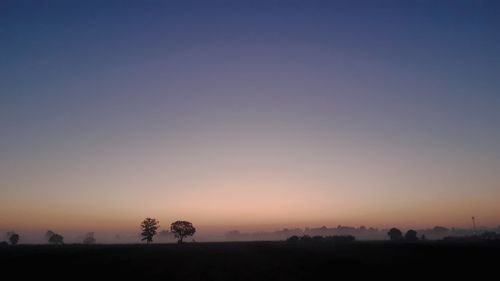 Silhouette trees on field against clear sky during sunset