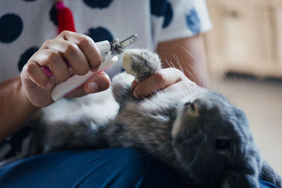 Midsection of person holding cat