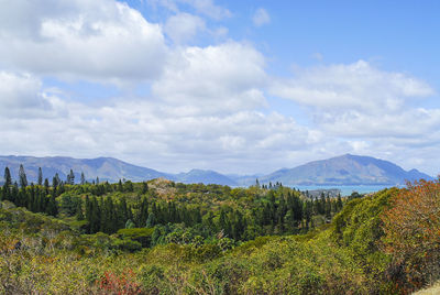 Scenic view of trees and mountains against sky