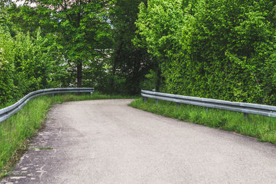 Road amidst trees in park