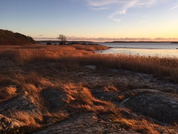 Scenic view of landscape against sky during sunset