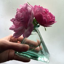 Close-up of hand holding rose in vase