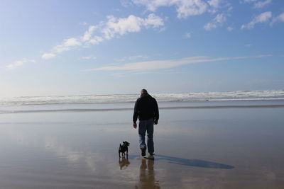 Rear view of woman with dog on beach