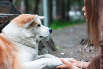 Midsection of woman with dog