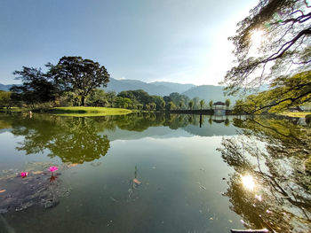 Reflection of trees in lake against sky