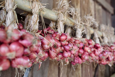 Close-up of pink flowers for sale in market