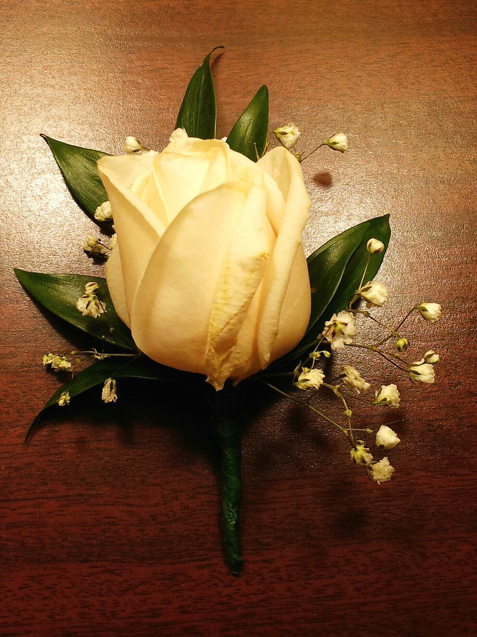 flower, freshness, petal, flower head, fragility, rose - flower, leaf, close-up, indoors, single flower, table, beauty in nature, still life, high angle view, stem, nature, growth, rose, plant, yellow