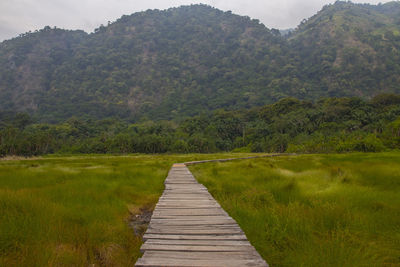 environment