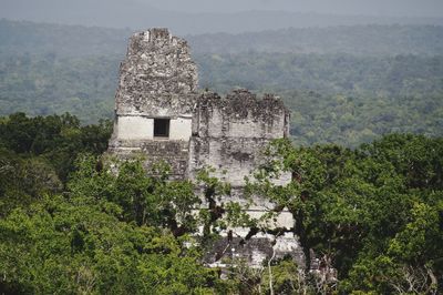 Tikal amidst trees at forest