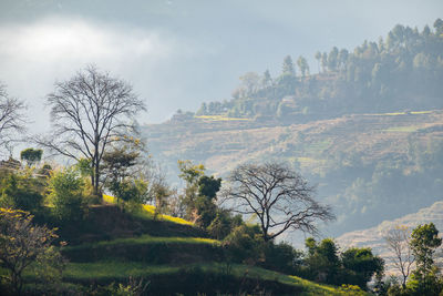 Scenic view of landscape against sky