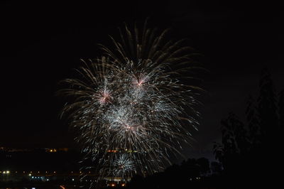 Low angle view of firework display at night