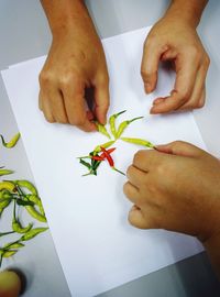 Cropped image of hand holding green chili pepper on paper