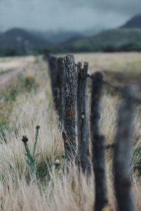 Close-up of wooden post on field