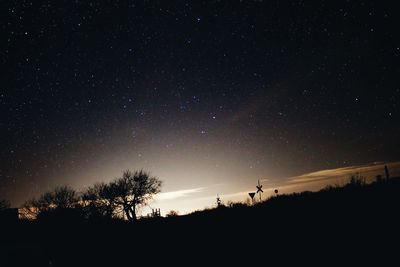 Low angle view of trees against sky at night