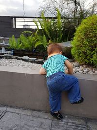 Rear view of boy playing outdoors