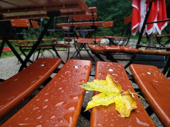 Yellow leaf on wet chair 
