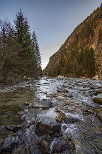 Scenic view of river by trees against sky