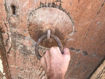 Close-up of hand holding leaf