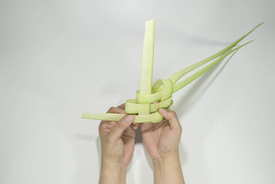 Close-up of hand holding toy against white background