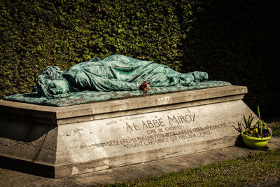 Statue of text on plant