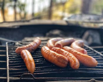 Close-up of crab on barbecue grill