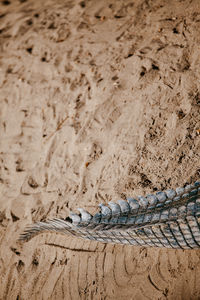 High angle view of ropes on sand