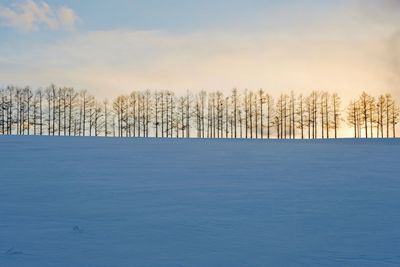 Scenic view of snow covered trees against sky