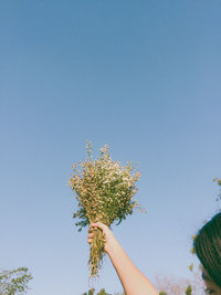 Low angle view of woman holding bouquet against sky