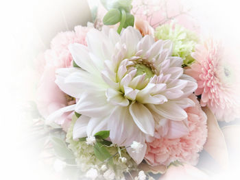 Close-up of pink flower bouquet