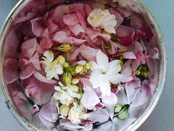 High angle view of pink flowers in bowl