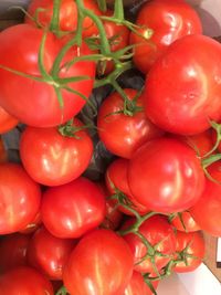 Close-up of tomatoes for sale in market