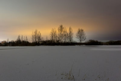 Bare trees on snow field against sky during sunset